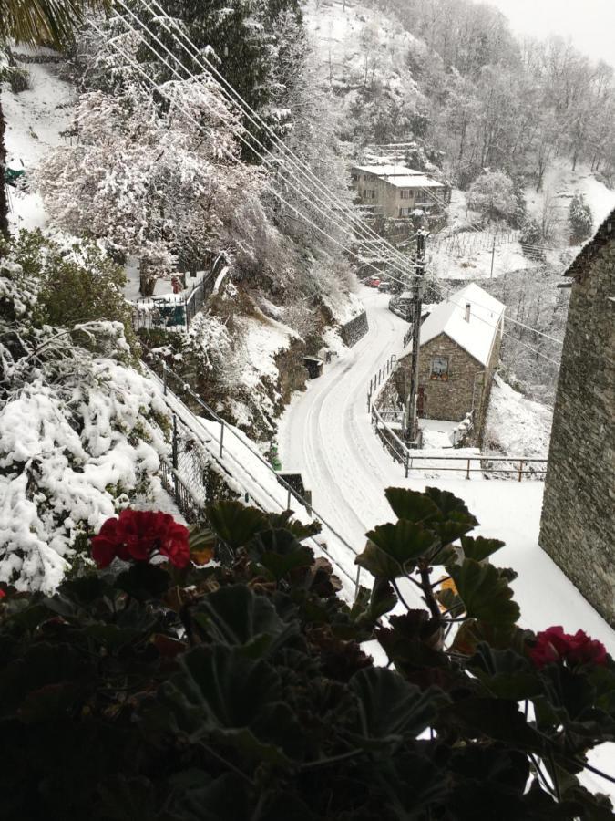 Casa Bonzani Appartement Verdasio Buitenkant foto