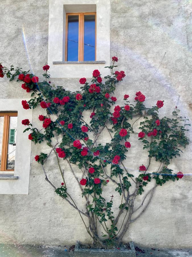 Casa Bonzani Appartement Verdasio Buitenkant foto